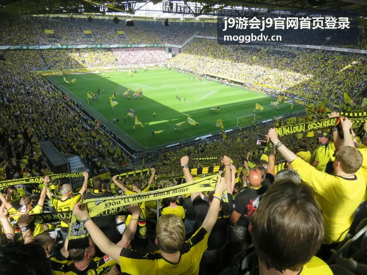 j9游会j9官网首页登录后功能入口布局